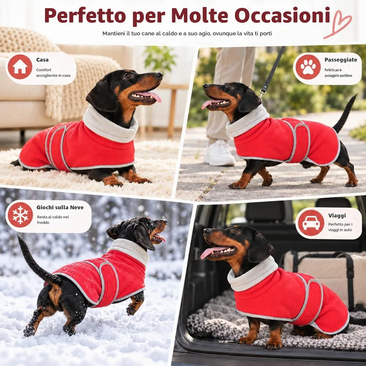 Morezi Giacca invernale per cani, rosso, XS - immagine 8