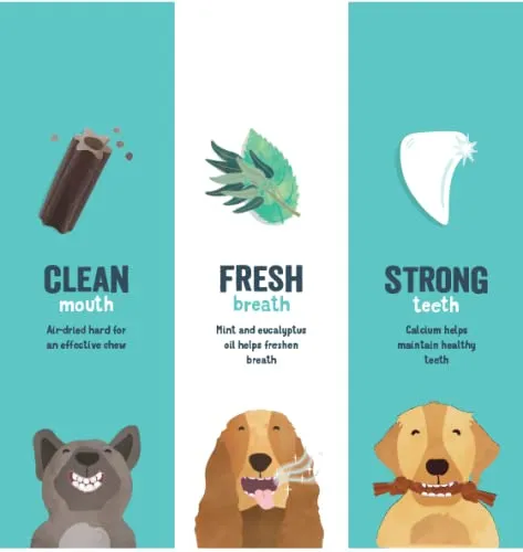 Edgard & Cooper Snack per Cane Stick Dentali Naturale Mela e Eucalipto, Piccolo, 8x7 confezioni - immagine 4