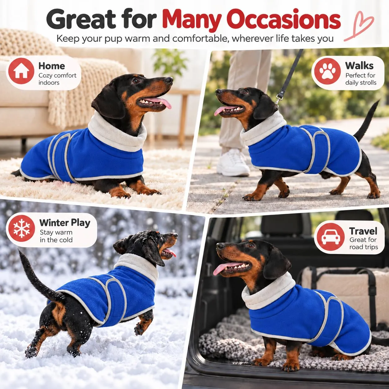Morezi Cappotto Invernale con Pettorina per Cani, Blu, M - immagine 8