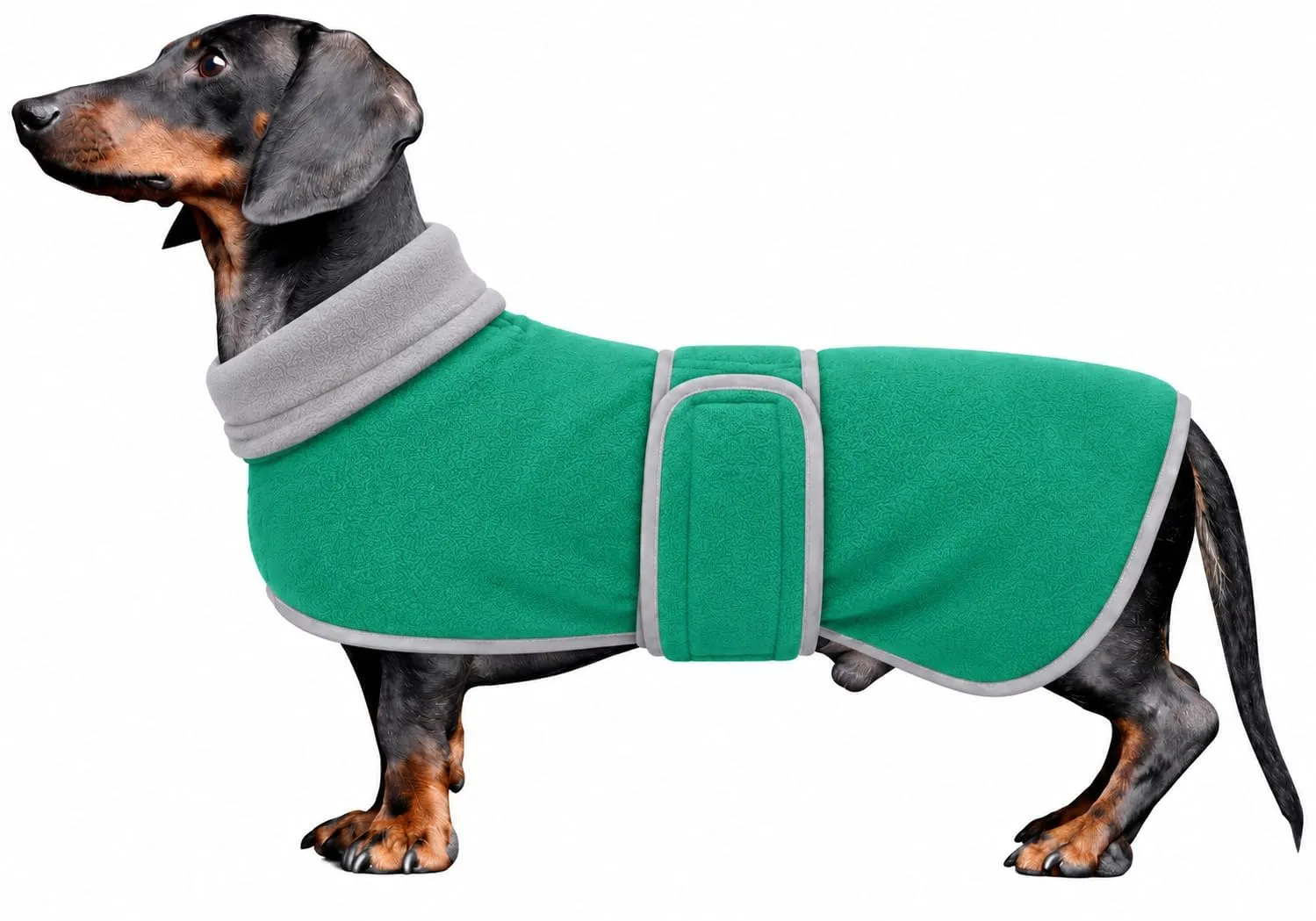 Morezi Cappotto Invernale per Cani con Pettorina, Verde, XS - immagine 1