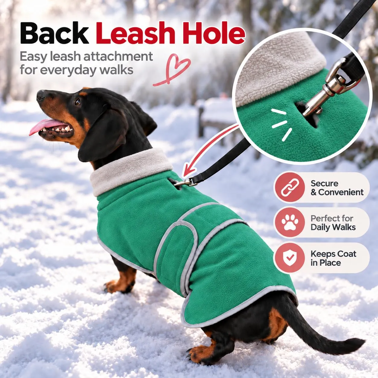 Morezi Cappotto Invernale per Cani con Pettorina, Verde, XS - immagine 7