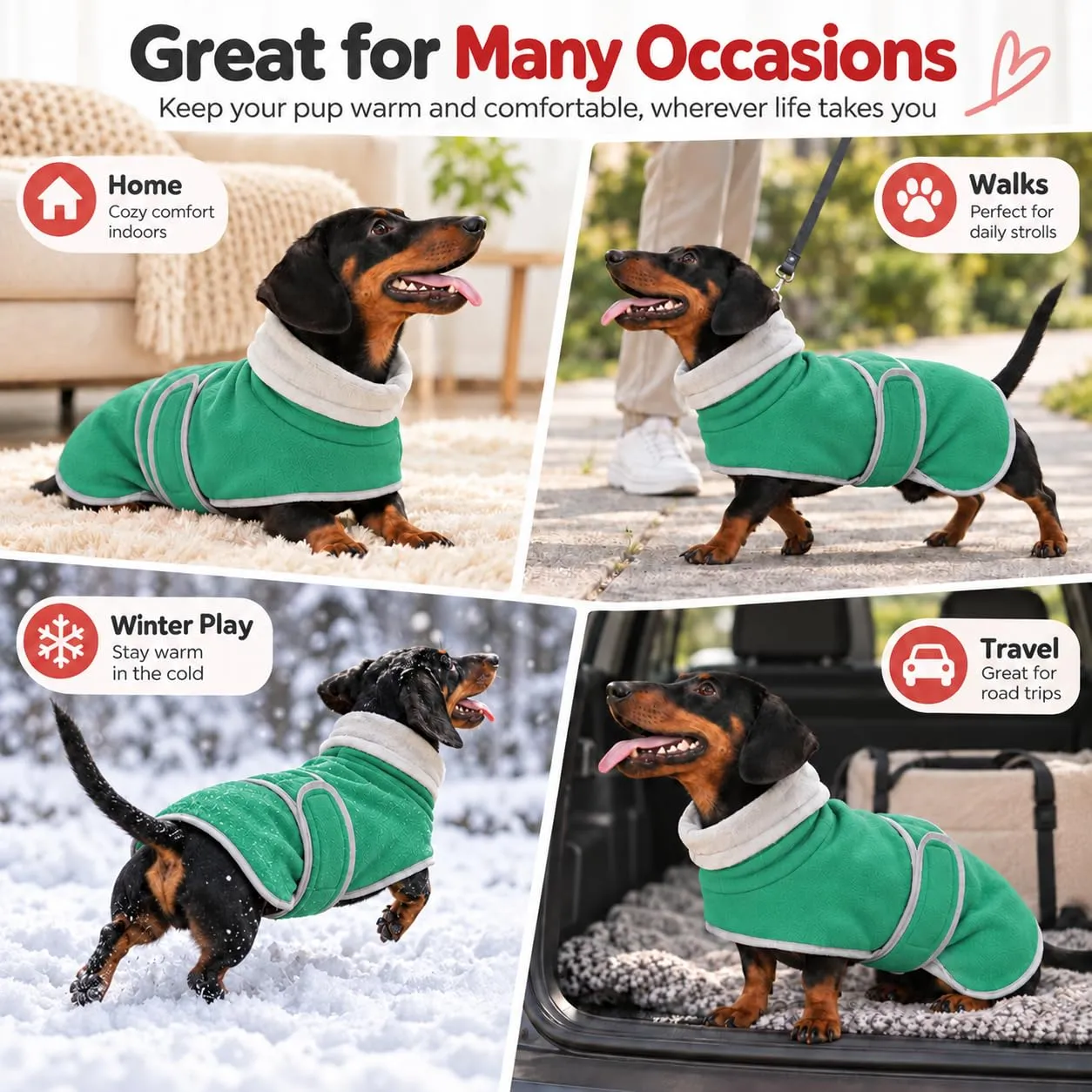 Morezi Cappotto Invernale per Cani con Pettorina, Verde, XS - immagine 8