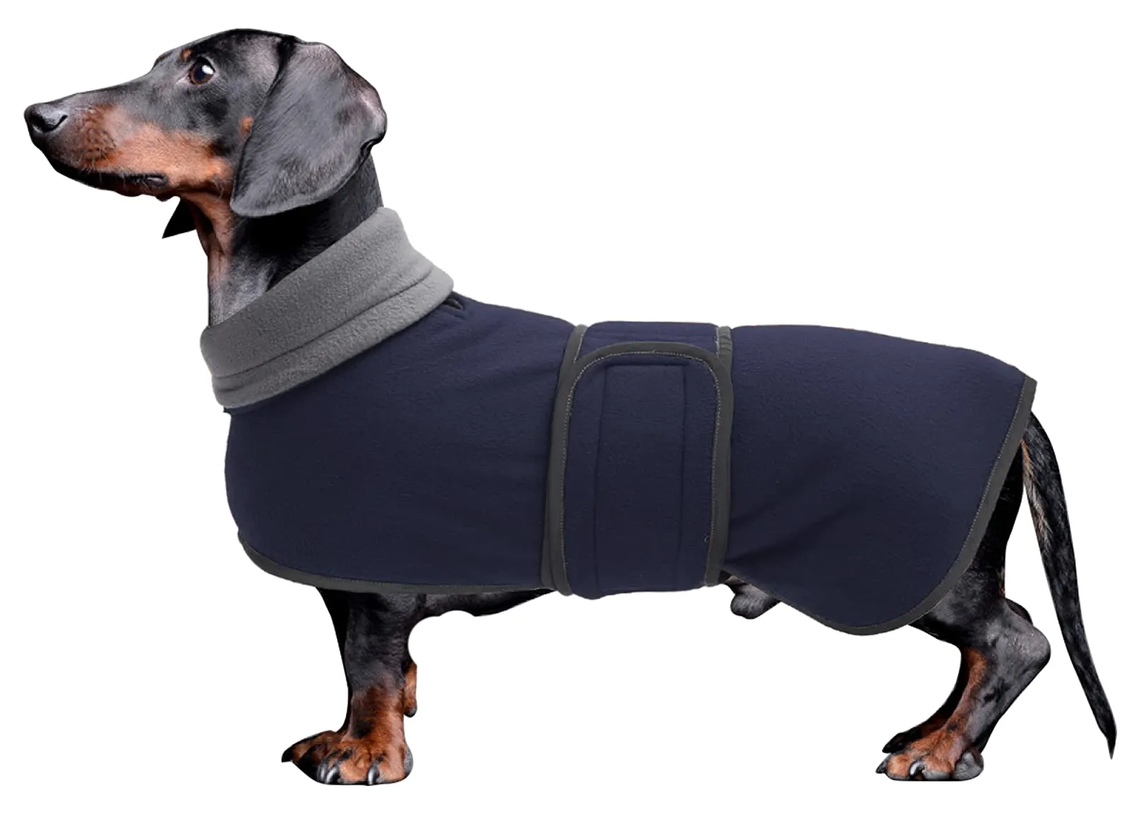 Morezi Cappotto Per Cani Con Pettorina Invernale per Teckel, Navy, S - immagine 1
