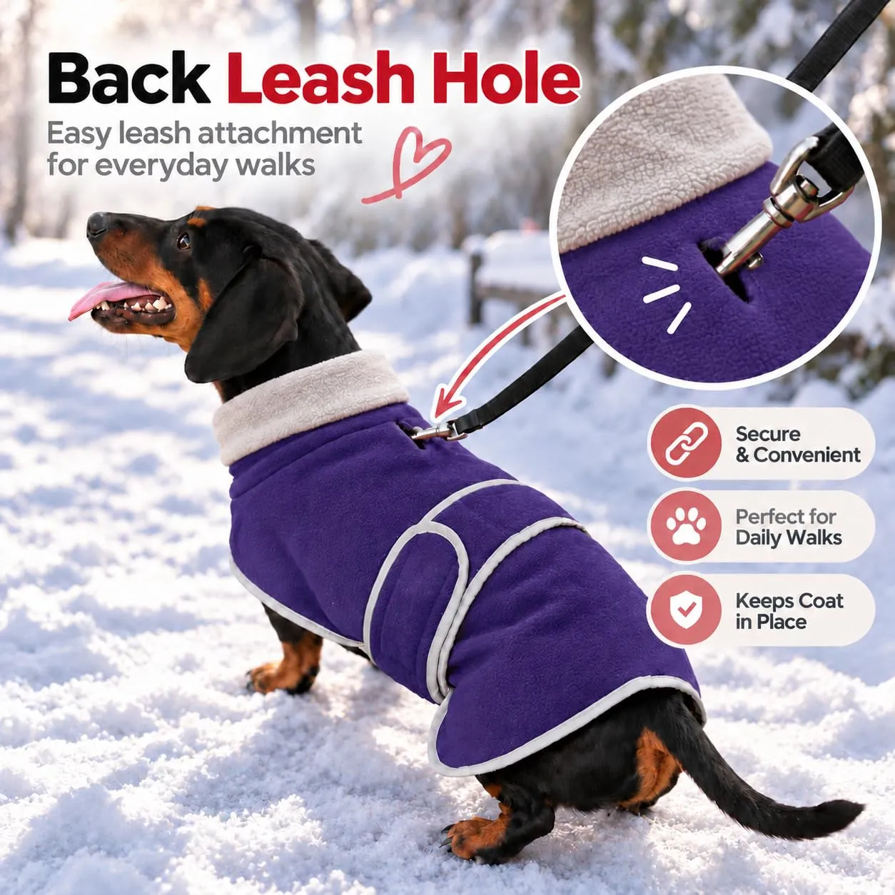 Morezi Abbigliamento Invernale per Cani in Pile di Lana, Morado, S - immagine 7