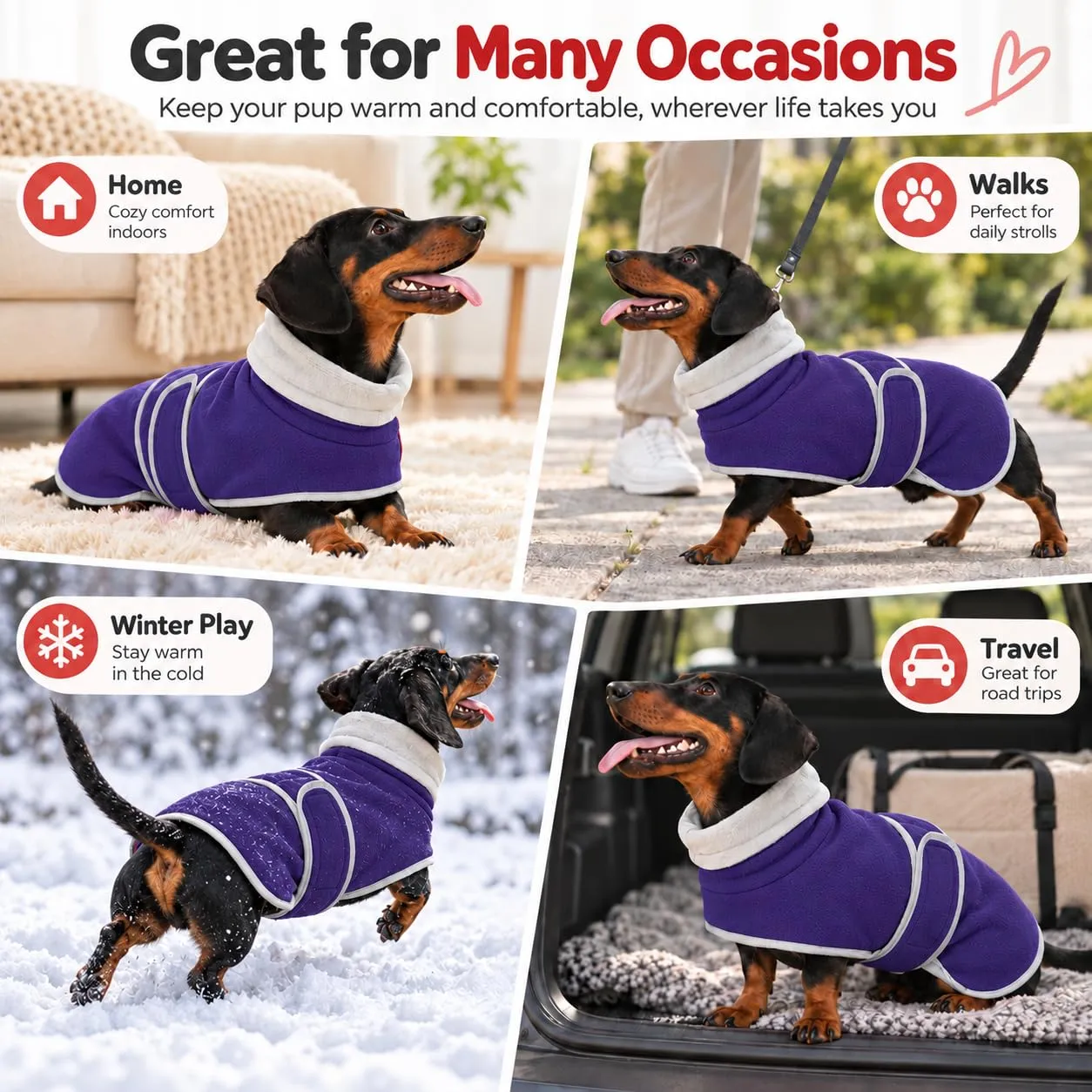 Morezi Abbigliamento Invernale per Cani in Pile di Lana, Morado, XS - immagine 8