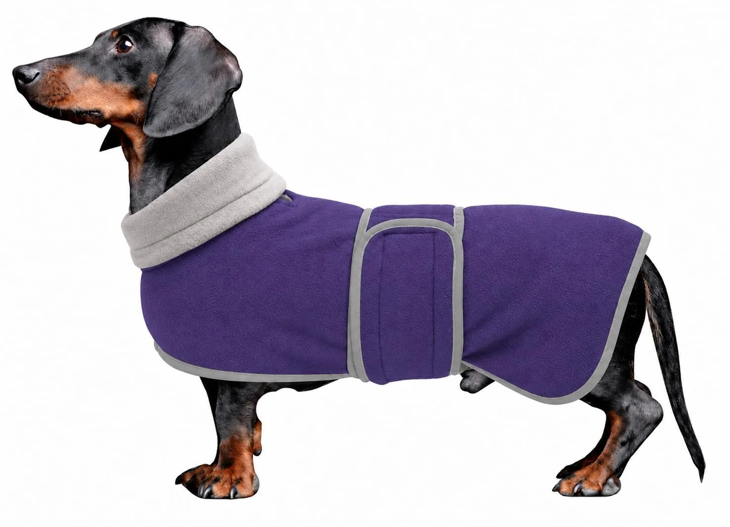 Morezi Abbigliamento invernale per cani, imbottitura in pile di lana, Morado, L - immagine 1