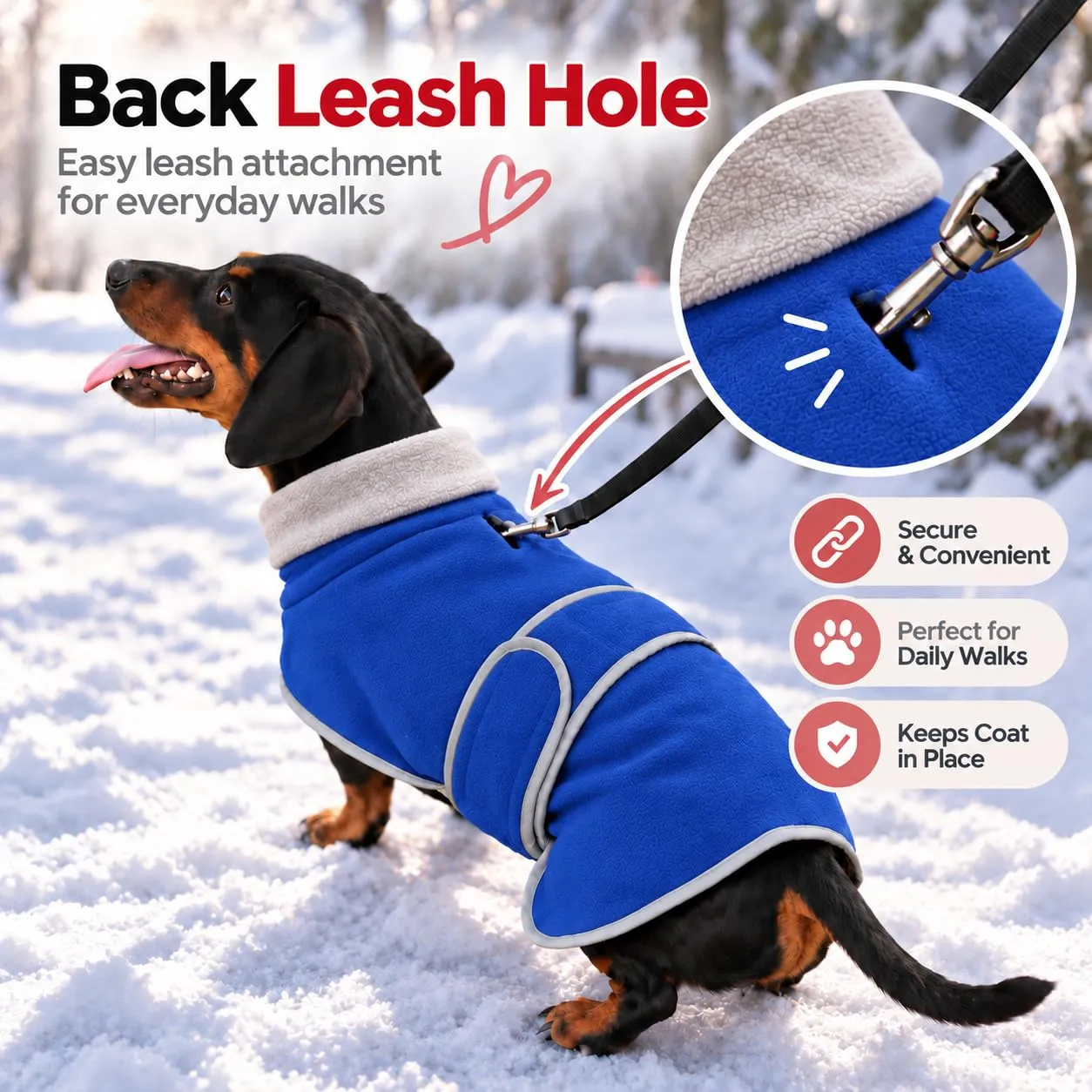 Morezi Abbigliamento Invernale per Cani in Pile di Lana, Blu, XS - immagine 7