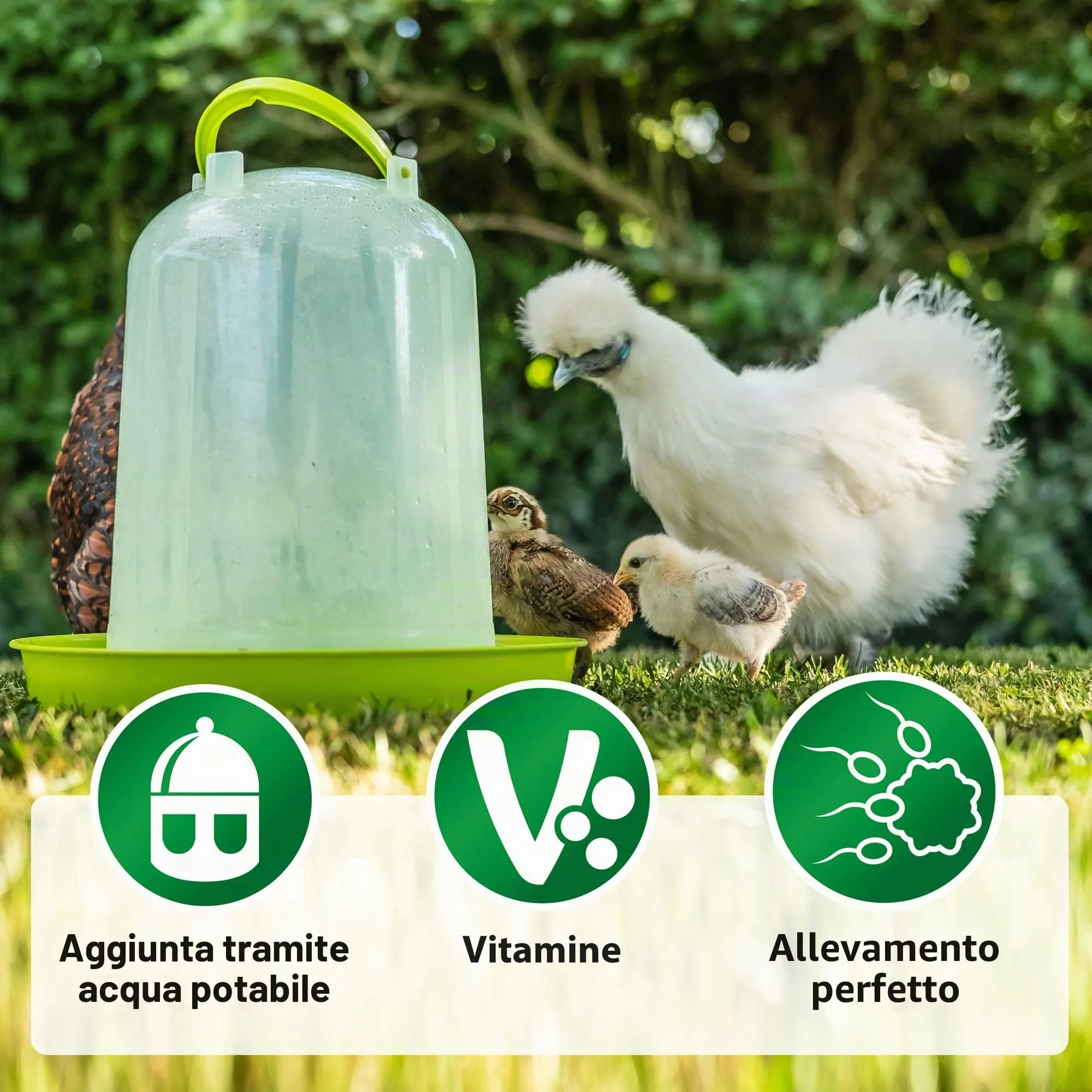 Röhnfried Vitamina ADEC Concentrato, Complemento Mangime Liquido per Polli, Bovini, Maiali e Pollame, 250 ml - immagine 2