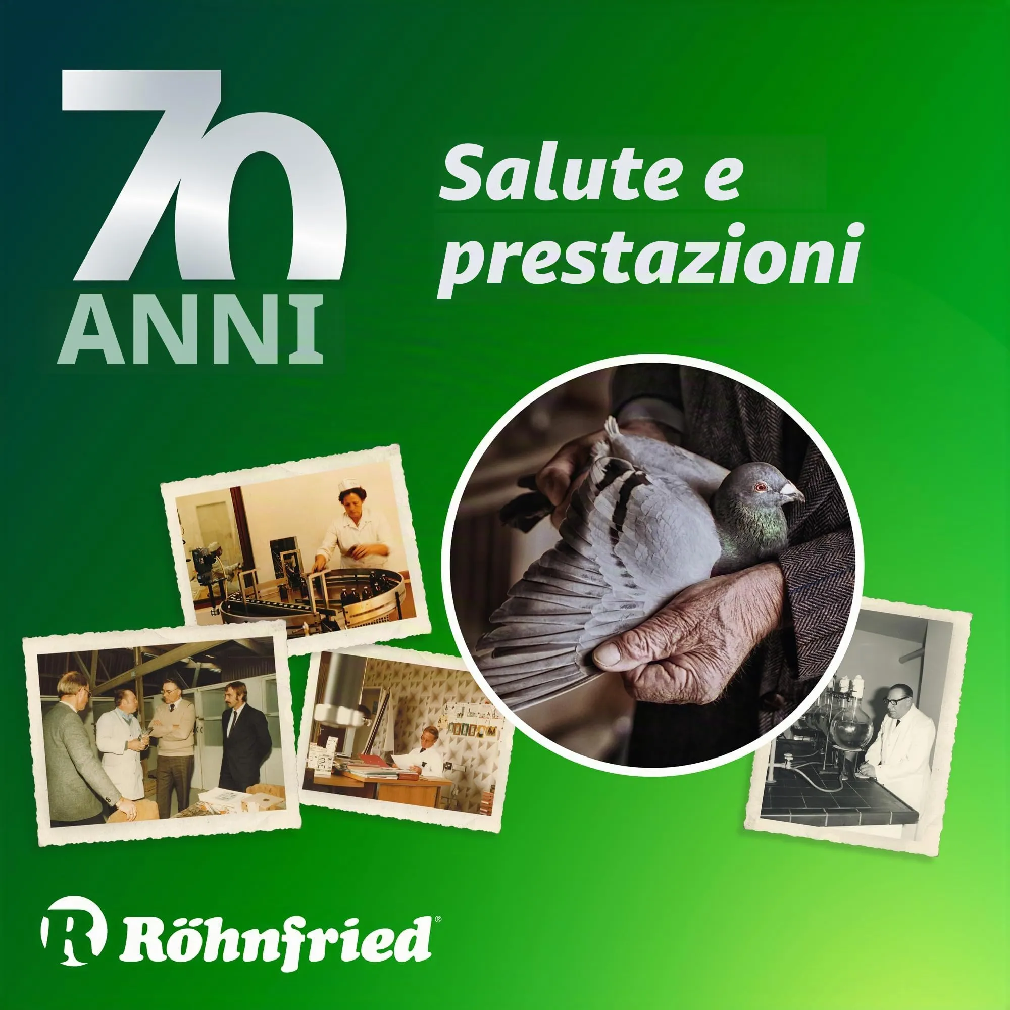 Röhnfried Vitamina ADEC Concentrato, Complemento Mangime Liquido per Polli, Bovini, Maiali e Pollame, 250 ml - immagine 5
