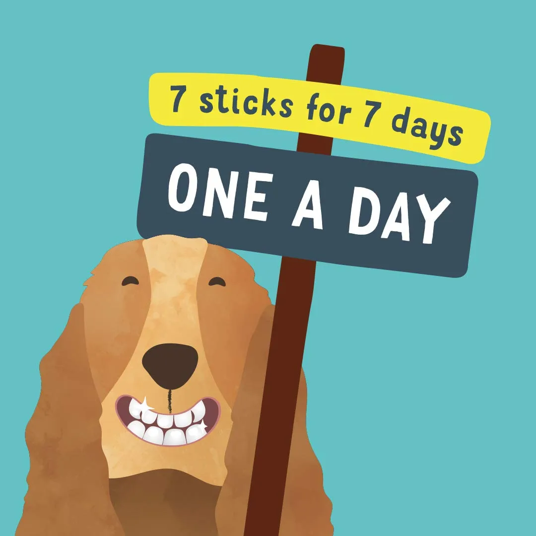 Edgard & Cooper Snack Stick Dentali Naturali per Cane, Mela e Eucalipto, Grandi, 8x7g - immagine 7