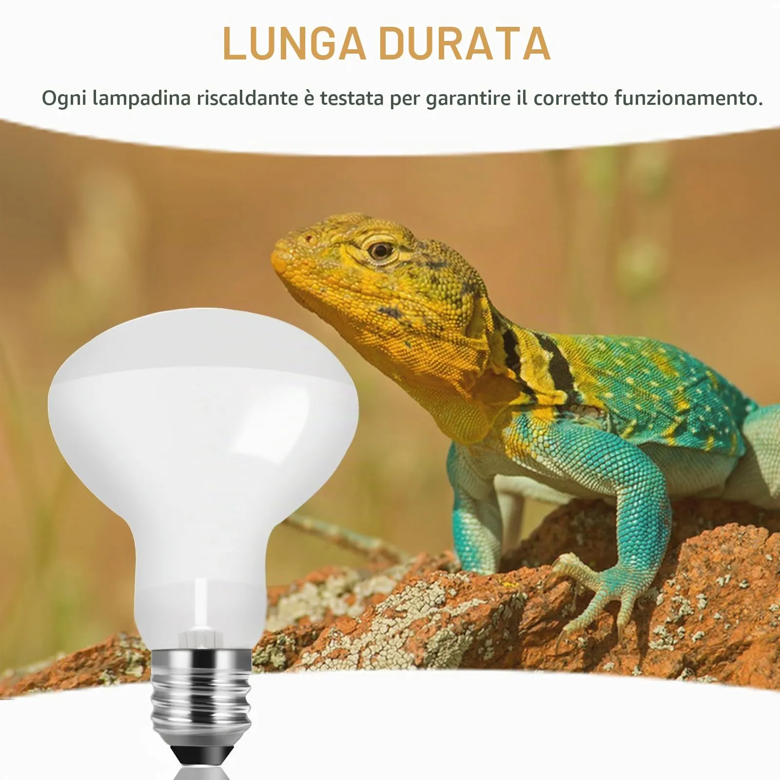 Caldarax Lampadina Riscaldante E27 50W UVA Basking Spot per Rettili e Anfibi, 2 Pezzi - immagine 6