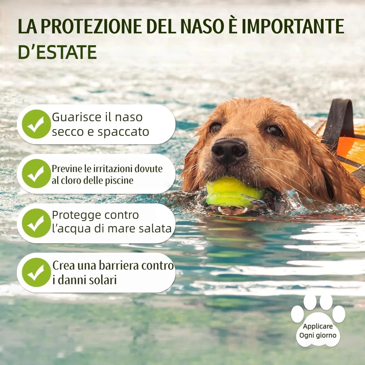GJYC PET Balsamo Idratante Naturale per Naso di Cani e Gatti - immagine 2