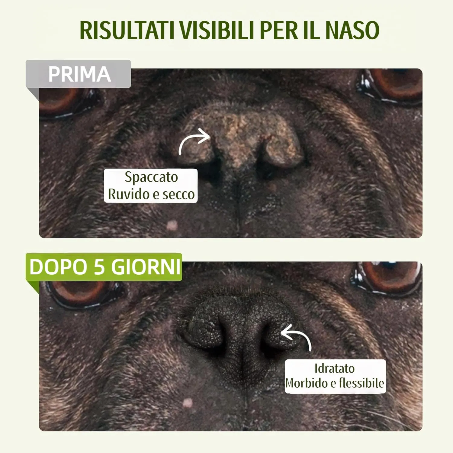GJYC PET Balsamo Idratante Naturale per Naso di Cani e Gatti - immagine 3