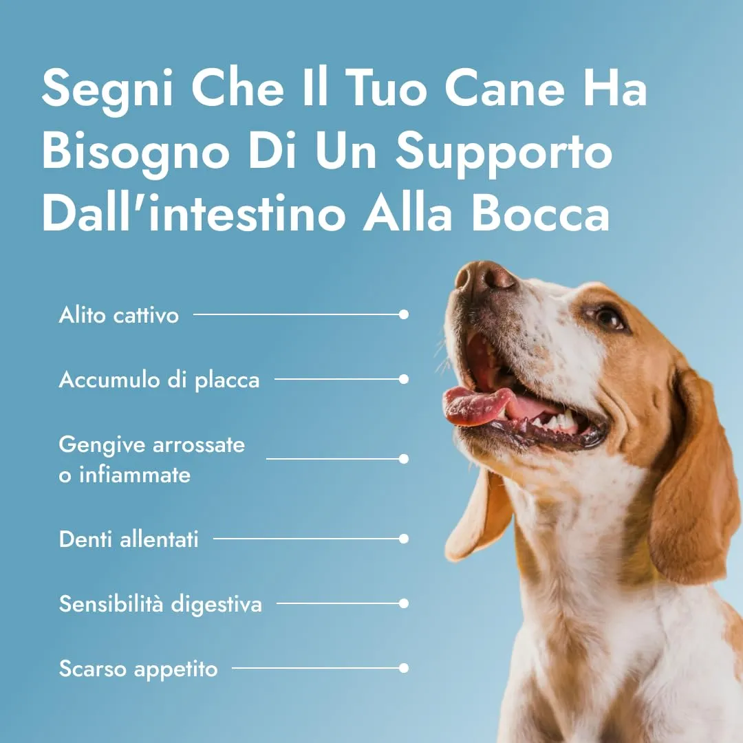 Petstile Dental PetBiotics Integratore Naturale per Salute Orale Cani, Polvere con Probiotici ed Erbe, 120 g - immagine 5