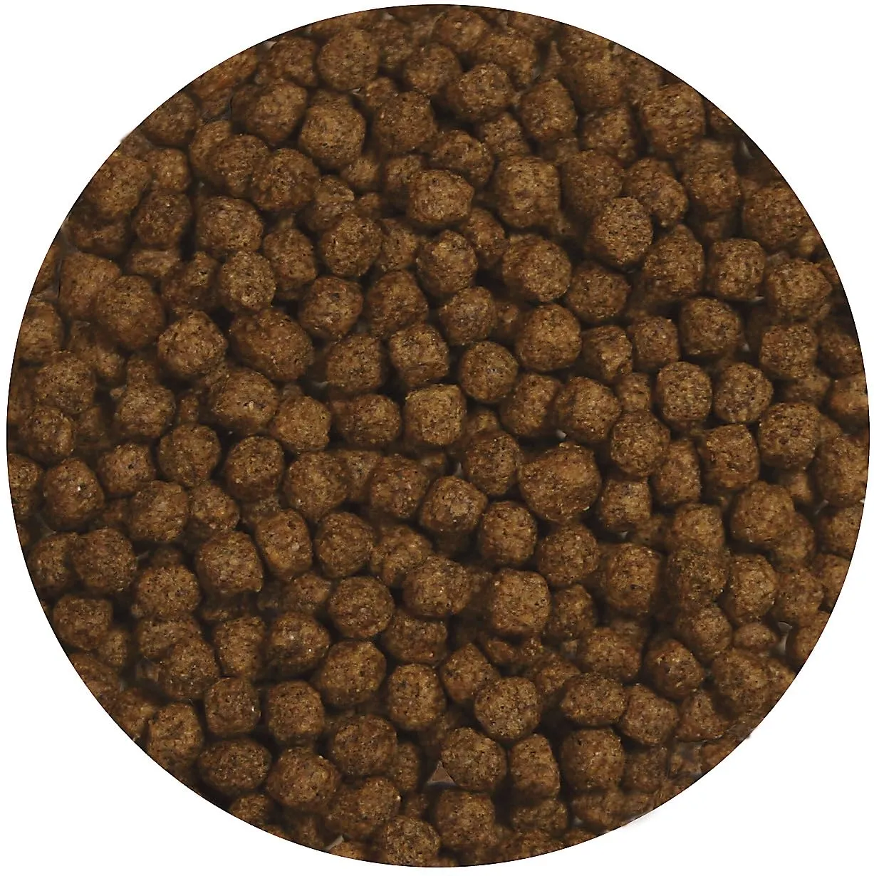 Zoo Med Natural Aquatic Turtle Growth Floating Pellets 4.8 mm, 369 g - immagine 2