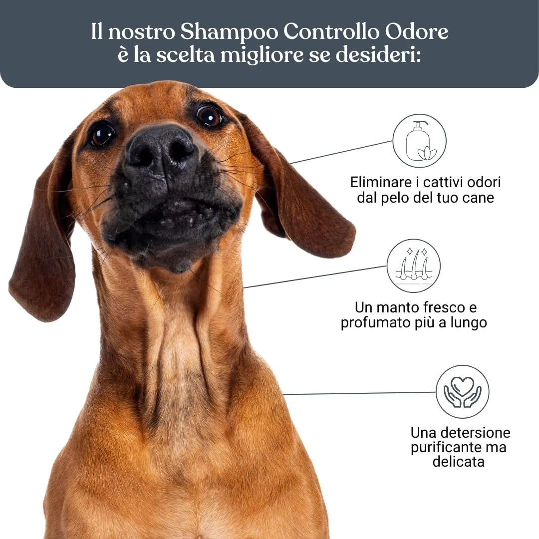 Bau Balsamo Cane Controllo Odori Purificante con Aloe Vera e Olio di Macadamia, 250ml - immagine 3