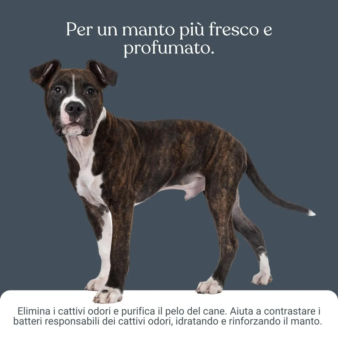 Bau Balsamo Cane Controllo Odori Purificante con Aloe Vera e Olio di Macadamia, 250ml - immagine 5