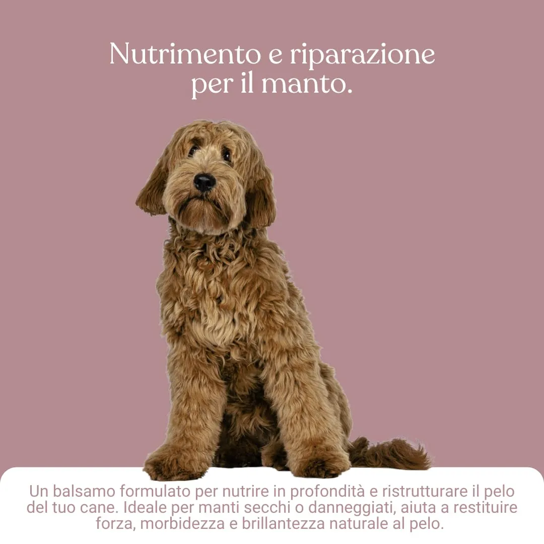 Bau Balsamo Cani Pelo Lungo Districante Ristrutturante e Idratante, 250ml - immagine 5