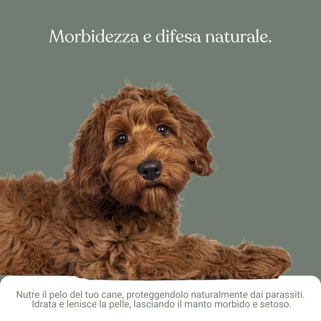 Bau Balsamo Cane Antiparassitario con Olio di Neem e Aloe Vera, 250ml - immagine 4