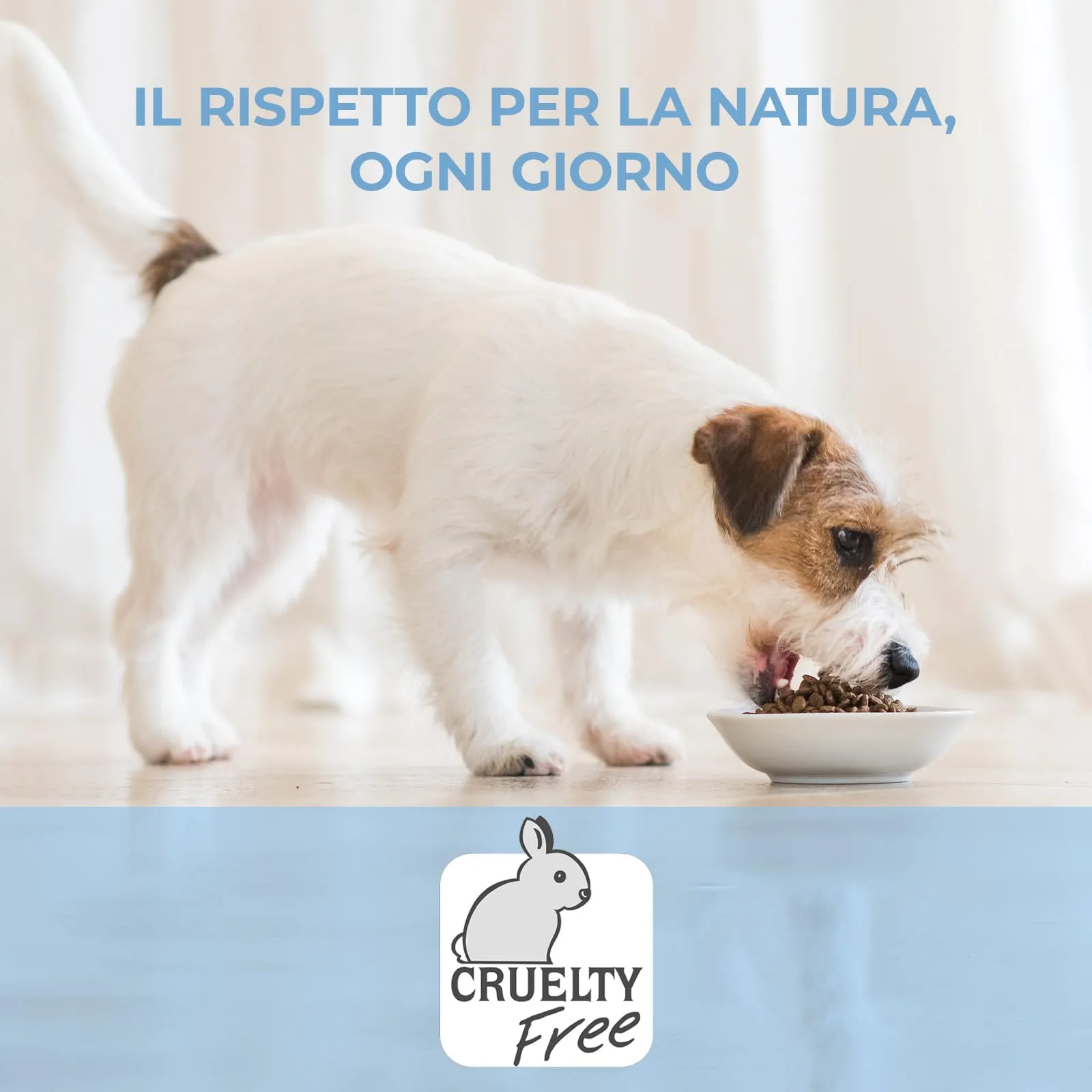 Adoc Naturally Premium Alimento Umido Complementare per Cani, Filetti di Pollo in Gelatina, 24 x 170 g - immagine 4