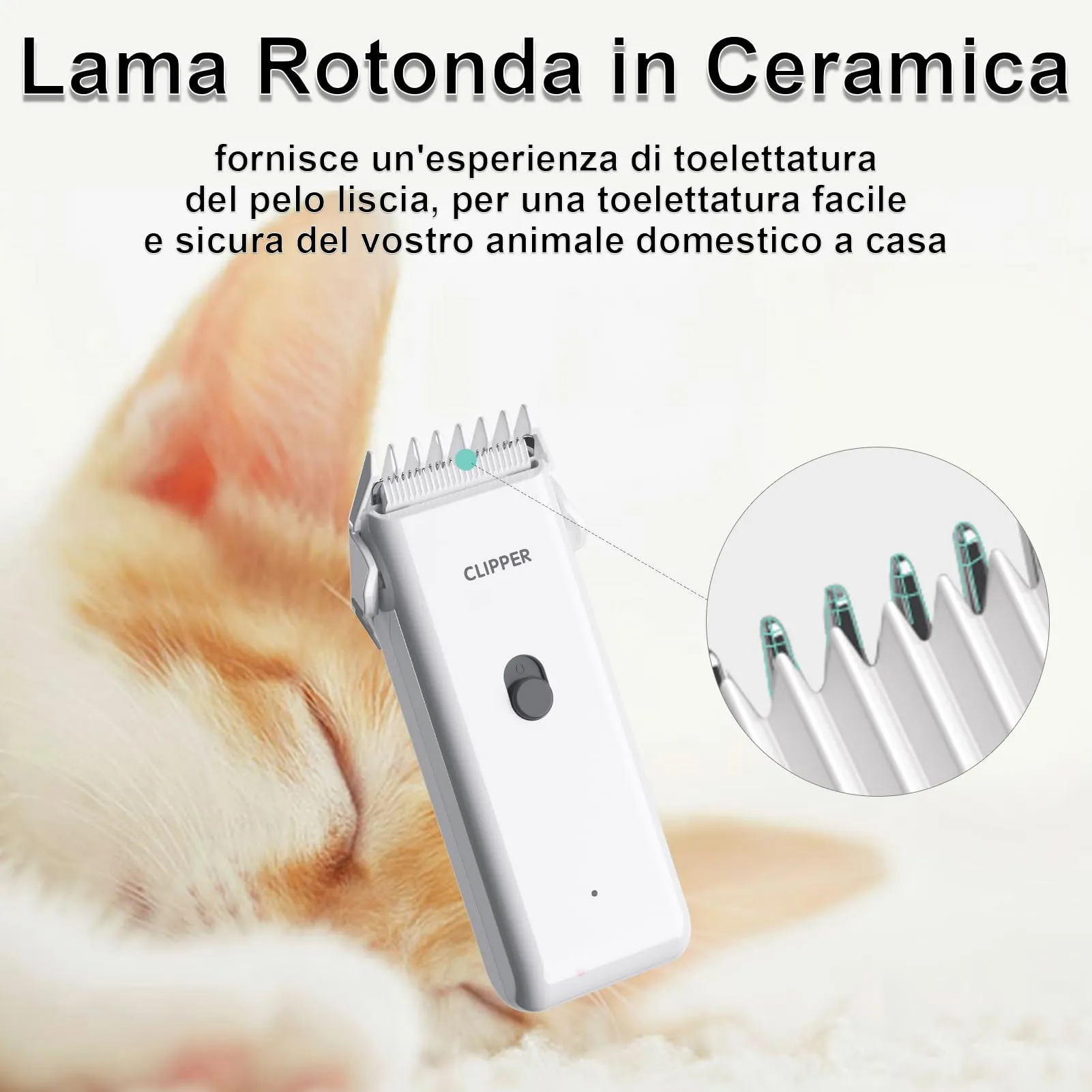 Favrison Kit Toelettatura Professionale per Cani e Gatti, Bianco - immagine 2