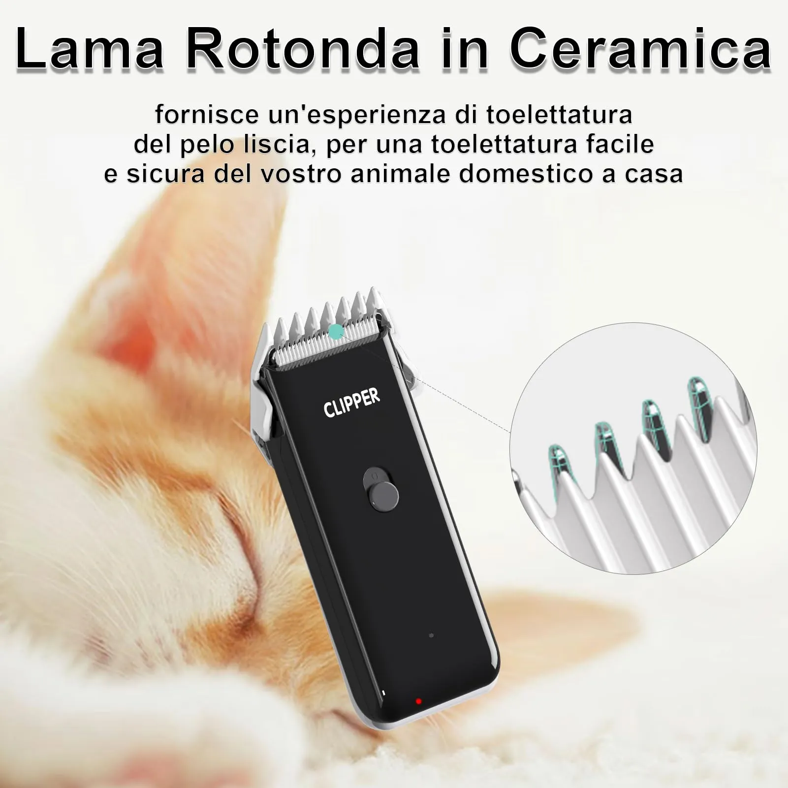 Favrison Kit Toelettatura Professionale per Cani e Gatti, Nero, LGL005 - immagine 2
