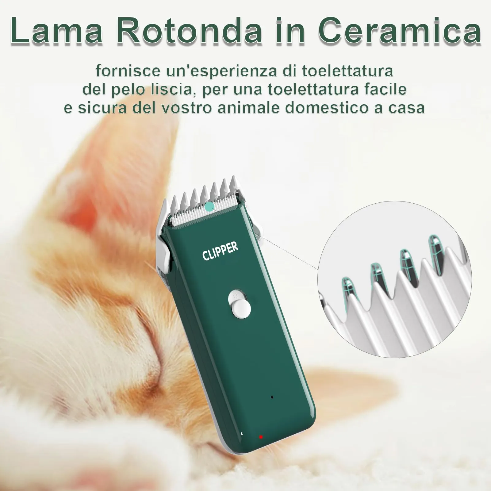 Favrison Kit Toelettatura Professionale per Cani e Gatti, Verde - immagine 2