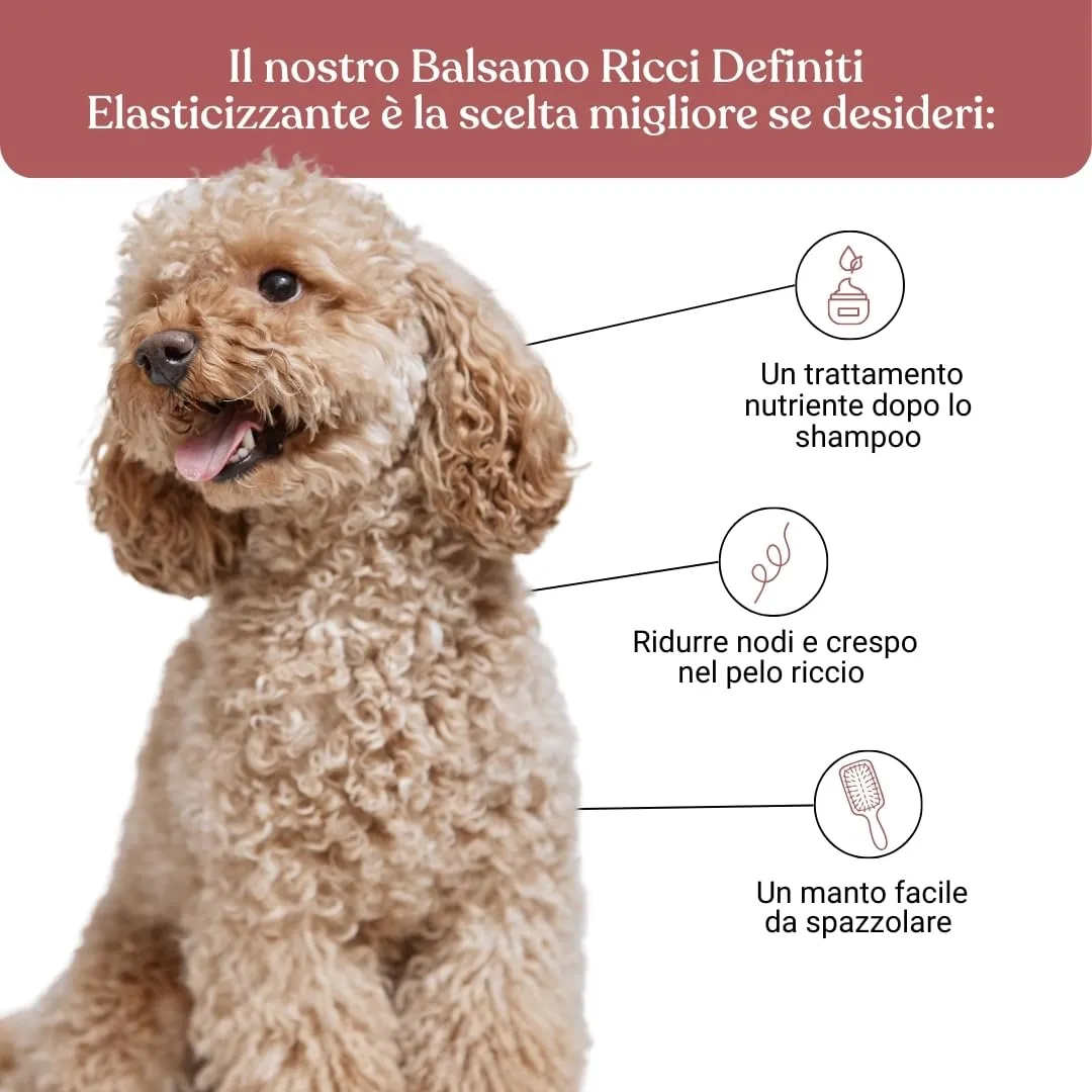 Bau Balsamo Cane Ricci Definiti Elasticizzante con Olio di Macadamia Biologico e Acqua di Riso, 250ml - immagine 3