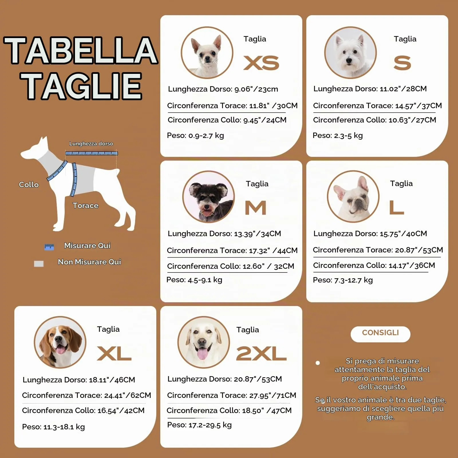 ASENKU Maglioncino per Cane, Taglia S, Tinta Unita - immagine 5