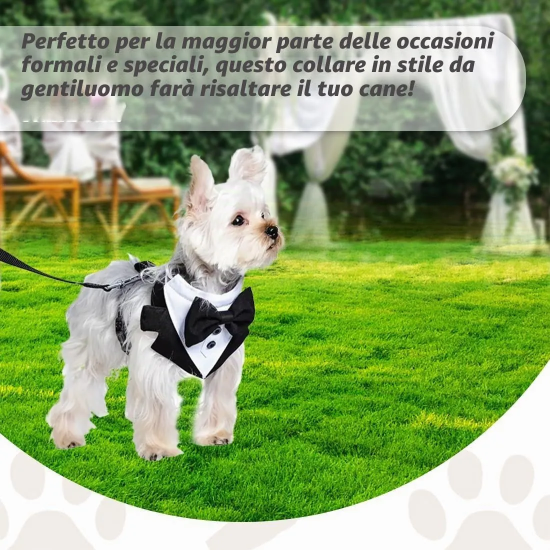 FHRYNA Set Collare a Bandana con Papillon, Pettorina e Guinzaglio (1.5m), Taglia M - immagine 4