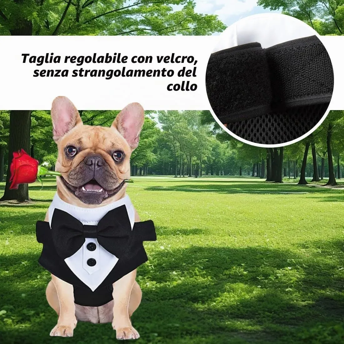 FHRYNA Set Collare a Bandana con Papillon, Pettorina e Guinzaglio (1.5m), Taglia M - immagine 5