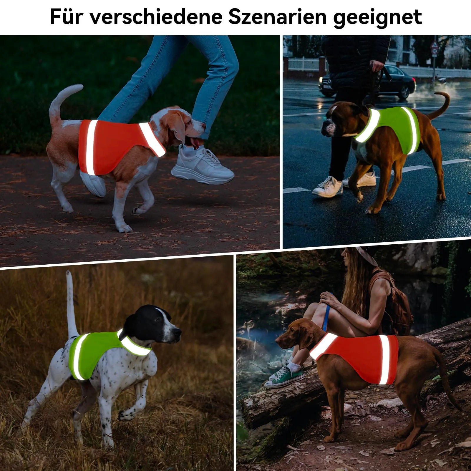 DQGHQME Set di 2 gilet catarifrangenti per cani da caccia, Verde e Arancione, XL - immagine 3