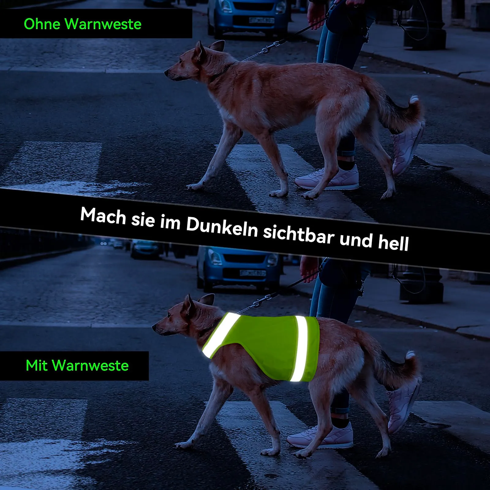 DQGHQME Set di 2 gilet catarifrangenti per cani da caccia, Verde e Arancione, XL - immagine 5