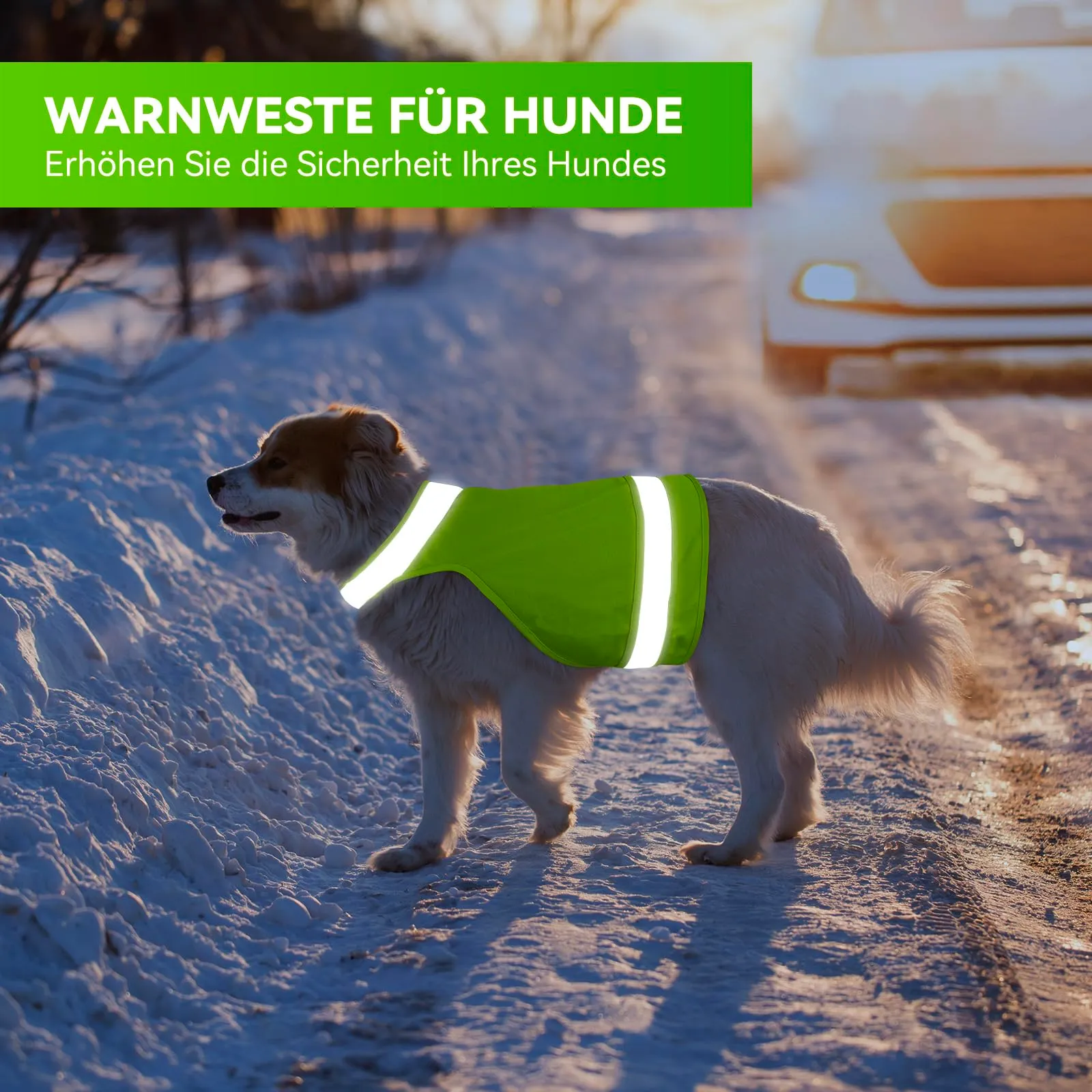 DQGHQME Set di 2 gilet catarifrangenti per cani da caccia, Verde e Arancione, XL - immagine 6