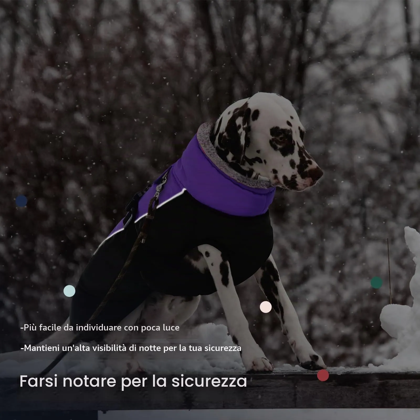 IECOii Cappotto Invernale per Cani Impermeabile e Antivento, Giacca Termica con Pile di Corallo e Strisce Riflettenti, Taglia S - immagine 5