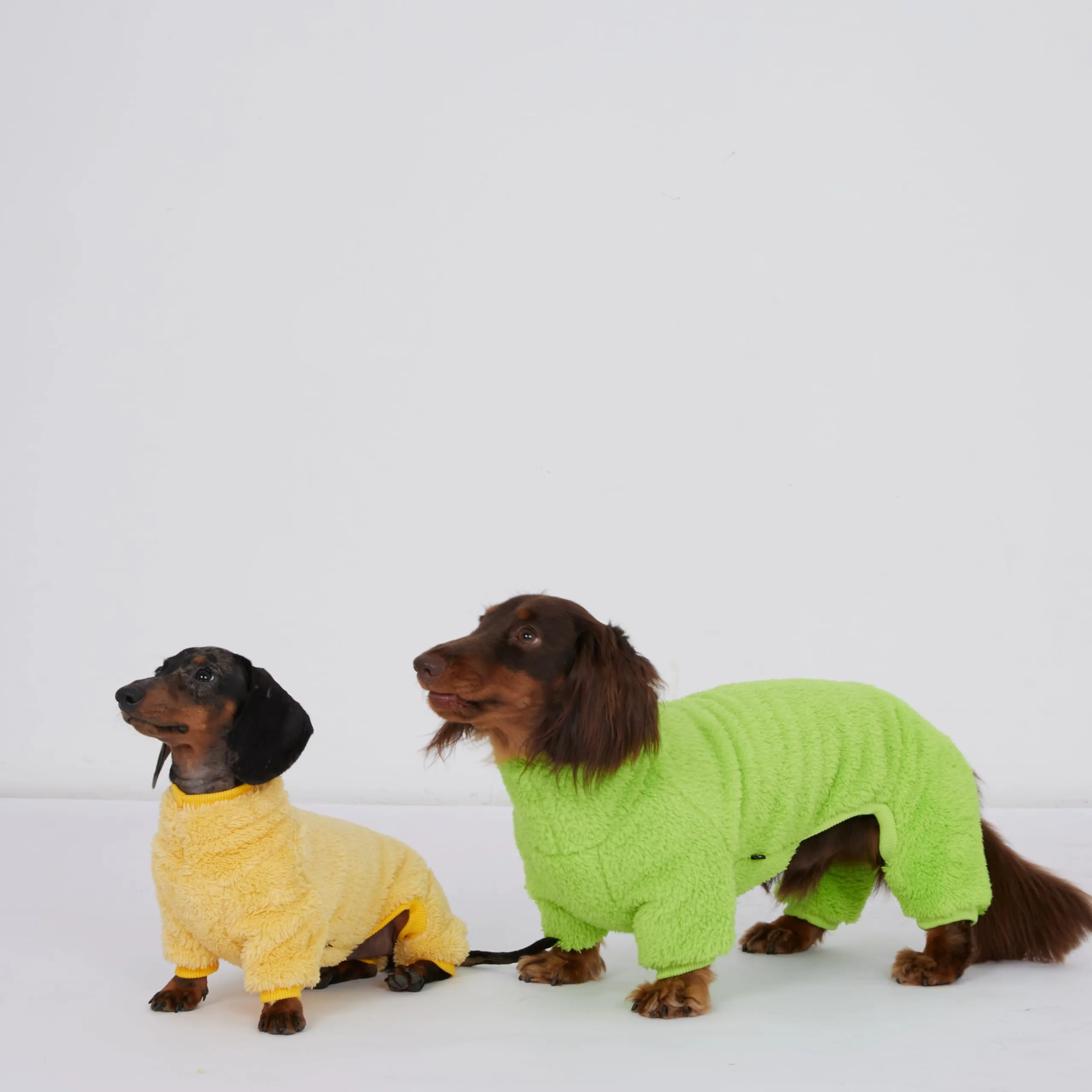 ESCCBOO Polo tuta in pile per cani bassotto, abbigliamento invernale (verde chiaro, XS) - immagine 6