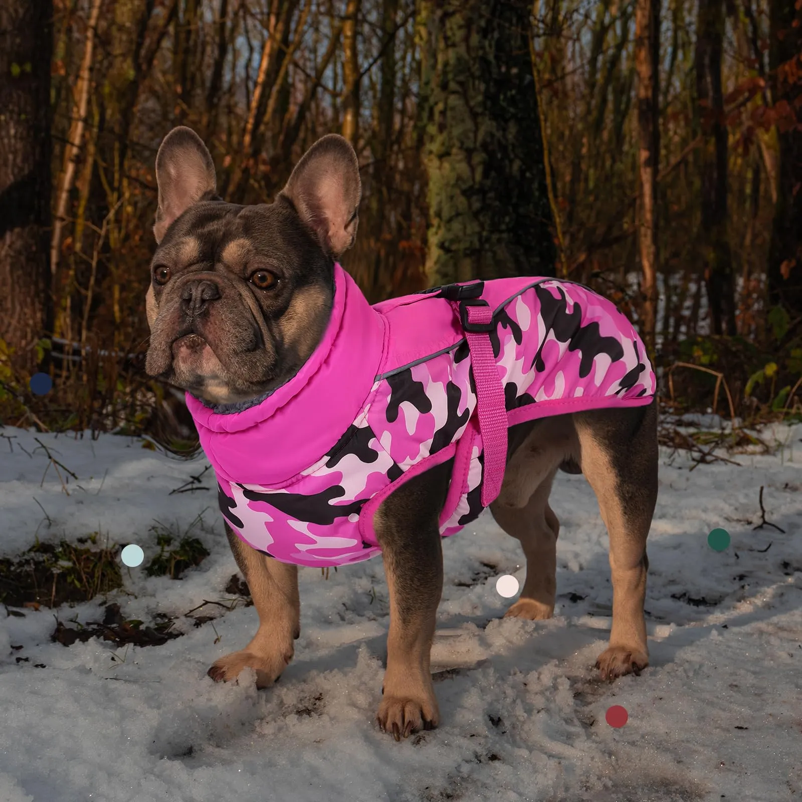 IECOii Cappotto Invernale per Cani in Pile Riflettente e Impermeabile con Collo Alto e Foro per Imbracatura, Rosa Mimetico - immagine 7