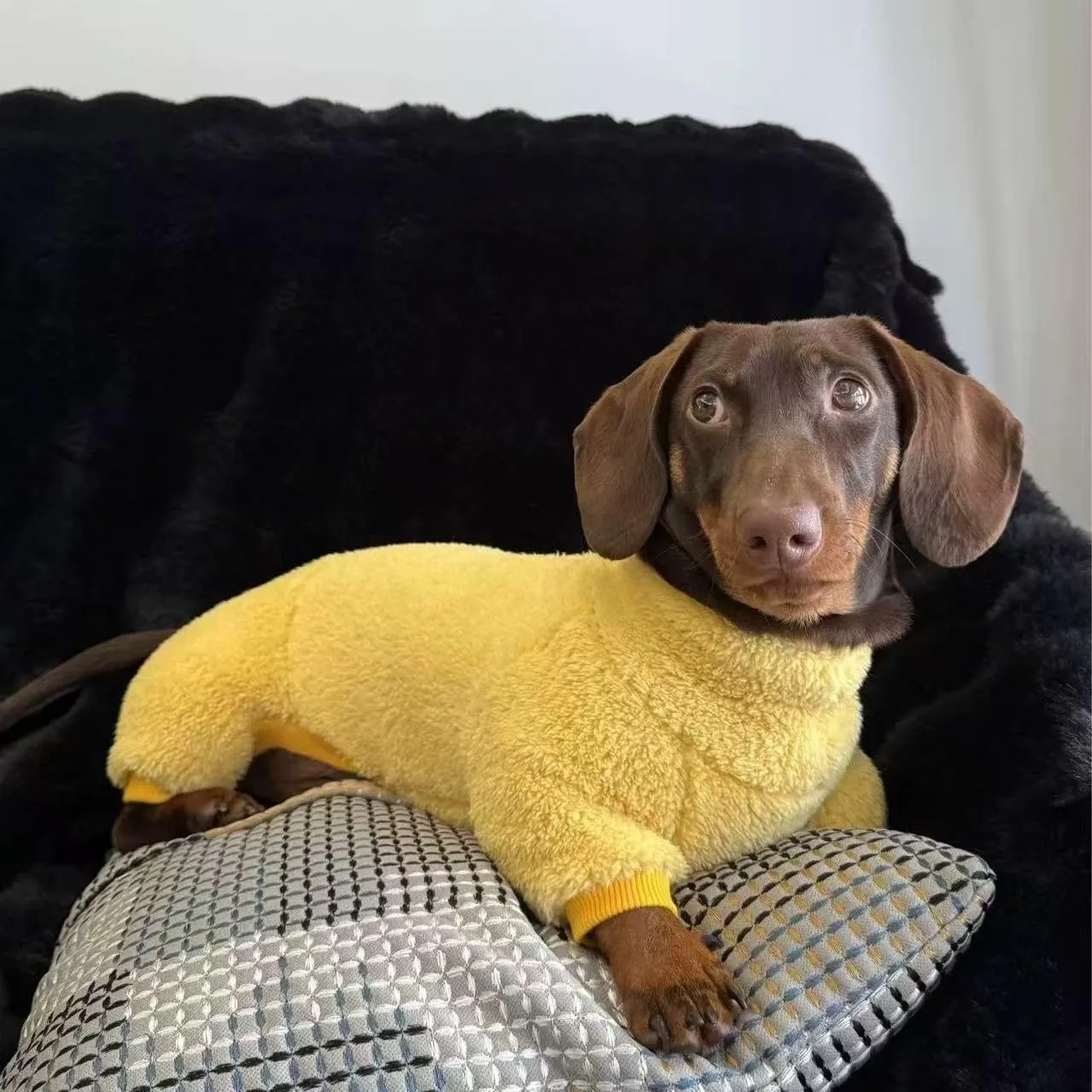 ESCCBOO Tutina in Pile Dolcevita per Bassotti, Giallo, XS - immagine 2