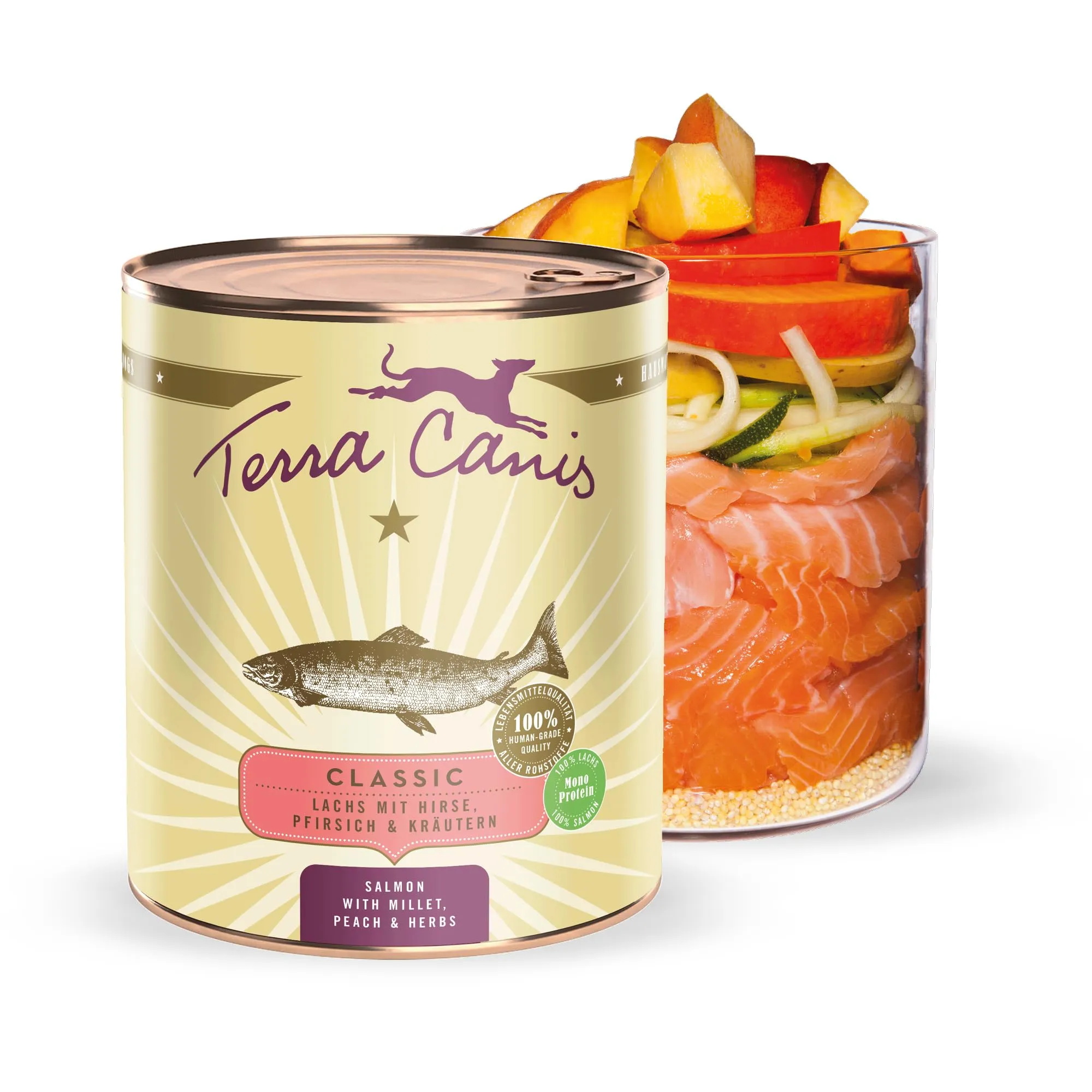Terra Canis Classic Cibo Umido per Cani Salmone, Miglio & Pesca, 800g - immagine 1