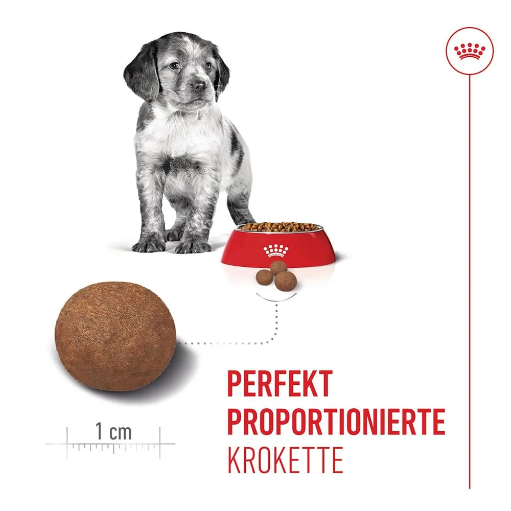 Royal Canin Medium Junior Cibo per cani, 10 kg - immagine 4