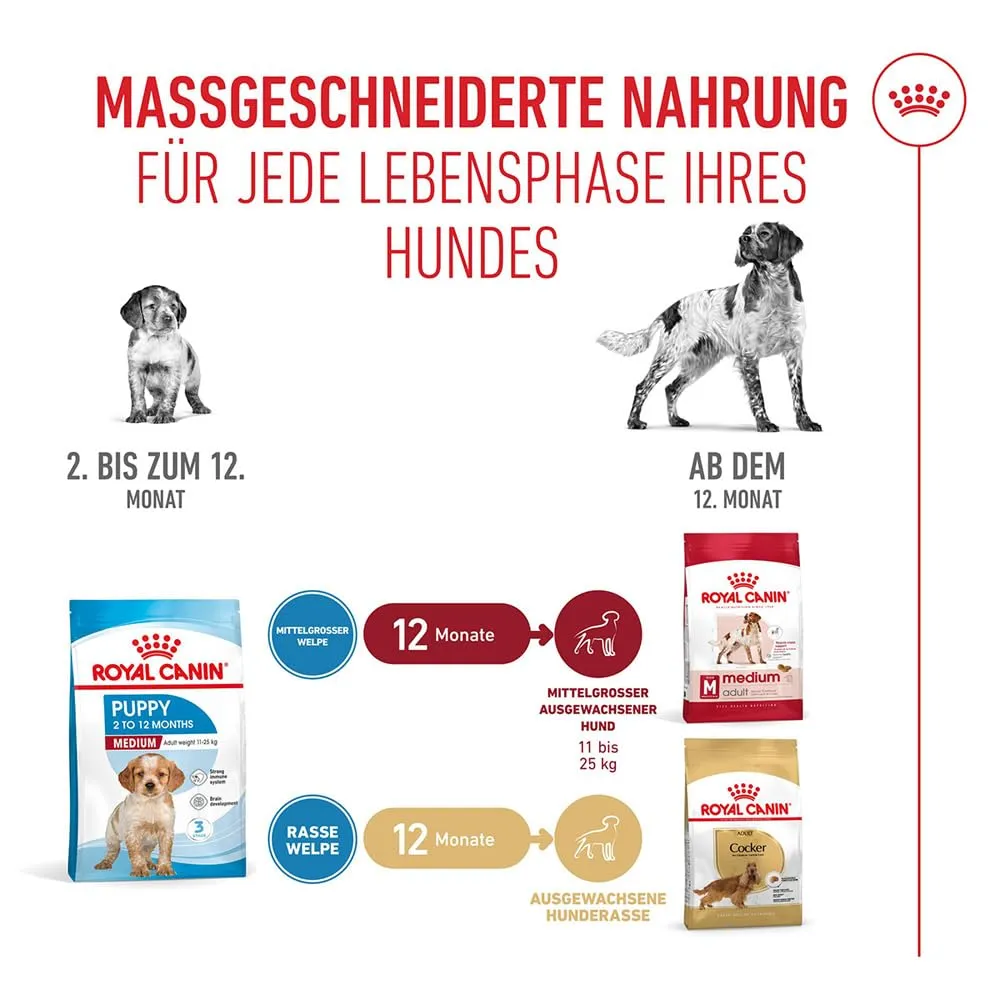 Royal Canin Medium Junior Cibo per cani, 10 kg - immagine 6