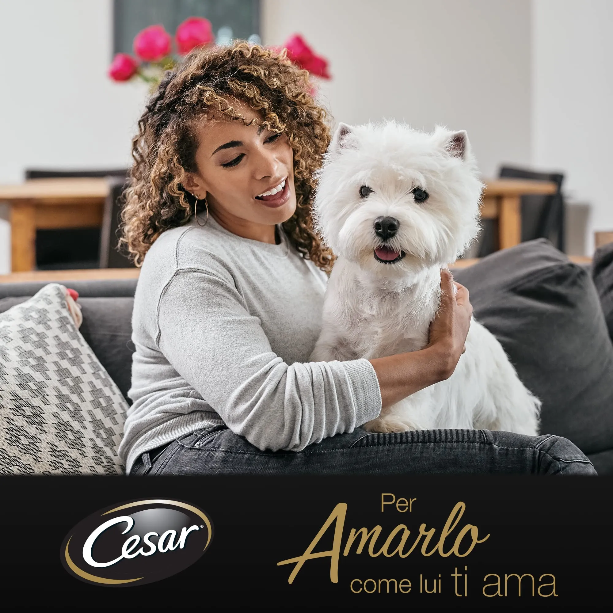 Cesar Le Delizie del Giorno Cibo per Cane Selezione in Gelatina 4 x 100 g - 13 Confezioni - immagine 2