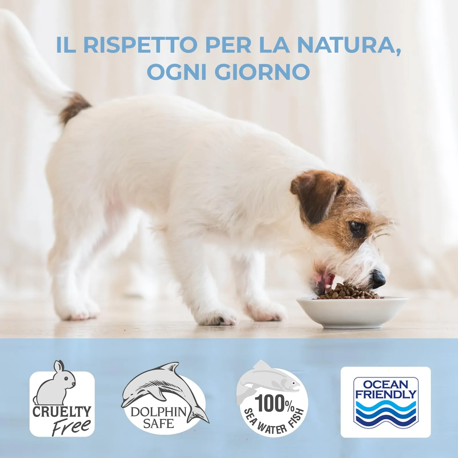 Adoc Naturally Premium Alimento Umido Complementare per Cani Filetti di Tonnetto in Gelatina, 24 x 170 g - immagine 4