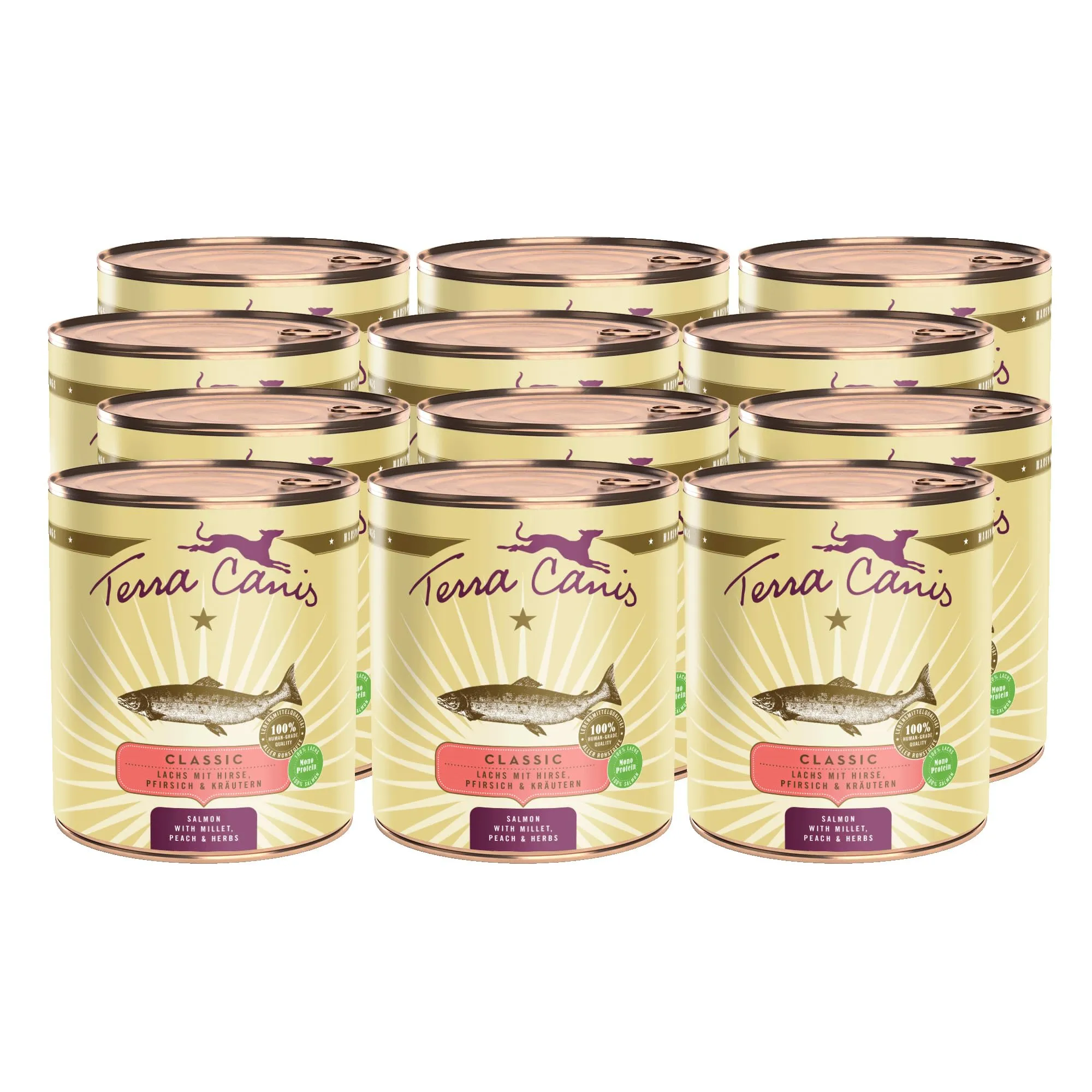 Terra Canis Classic Salmone con miglio, cibo umido per cani, 12x800g - immagine 1