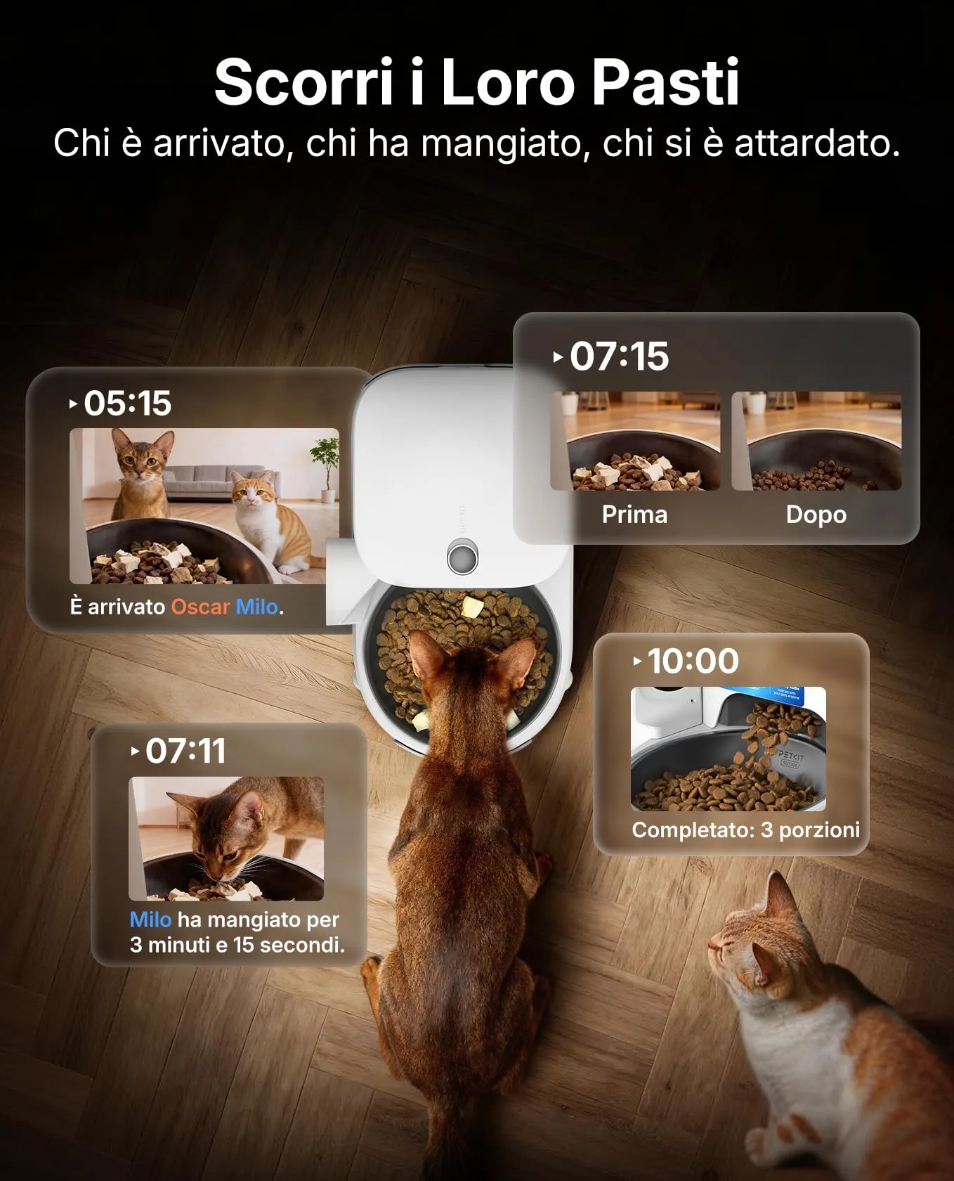 PETKIT YumShare Solo 2 Distributore Automatico di Cibo per Gatti con Telecamera HD 1080p, Riconoscimento Multiplo Gatti, Wi-Fi 2.4/5 GHz, Capacità 3L, Ciotola in Acciaio Inossidabile - immagine 3