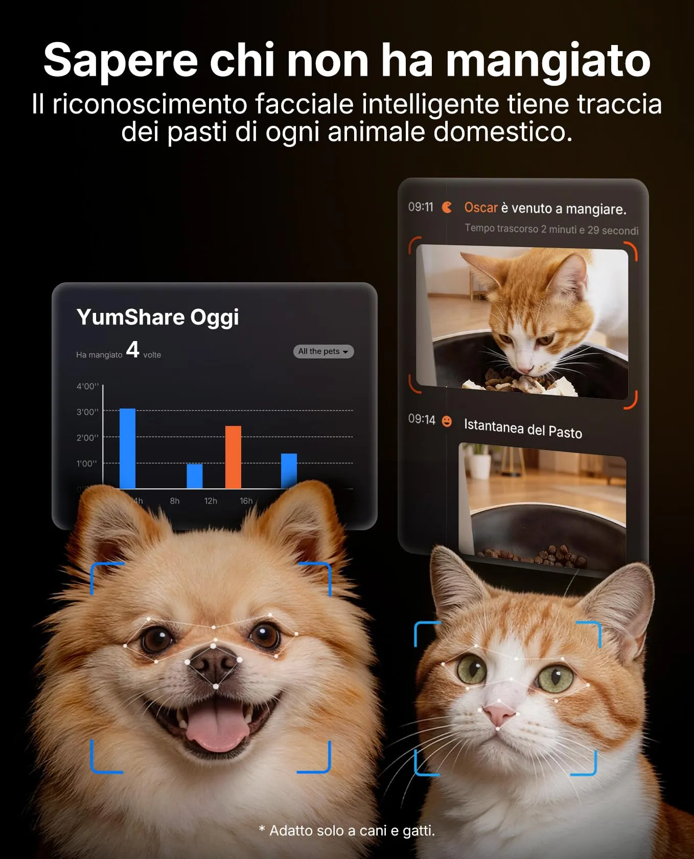PETKIT YumShare Solo 2 Distributore Automatico di Cibo per Gatti con Telecamera HD 1080p, Riconoscimento Multiplo Gatti, Wi-Fi 2.4/5 GHz, Capacità 3L, Ciotola in Acciaio Inossidabile - immagine 4