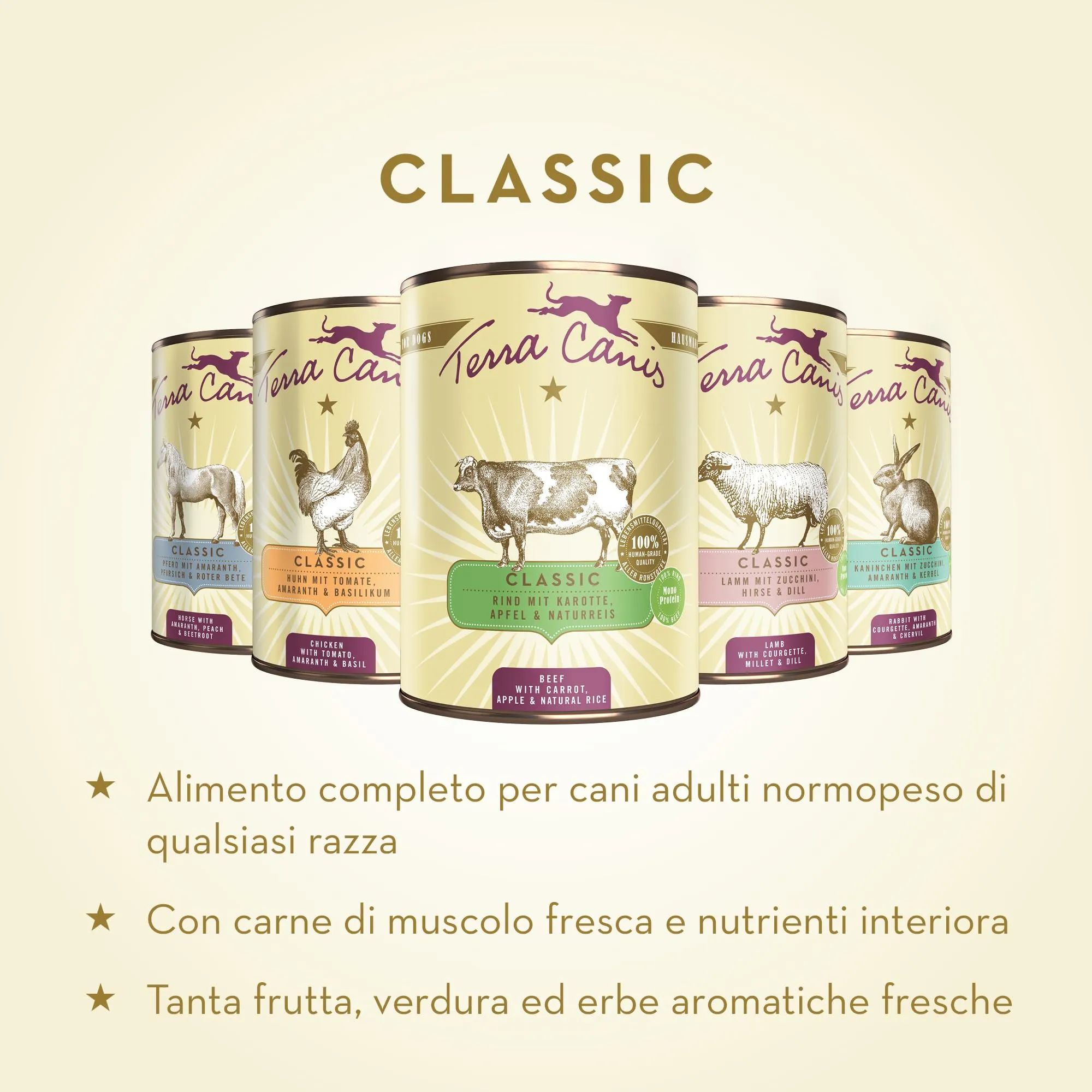 Terra Canis Classic Cinghiale e Riso Integrale, Cibo Umido per Cani, 12x200g - immagine 2