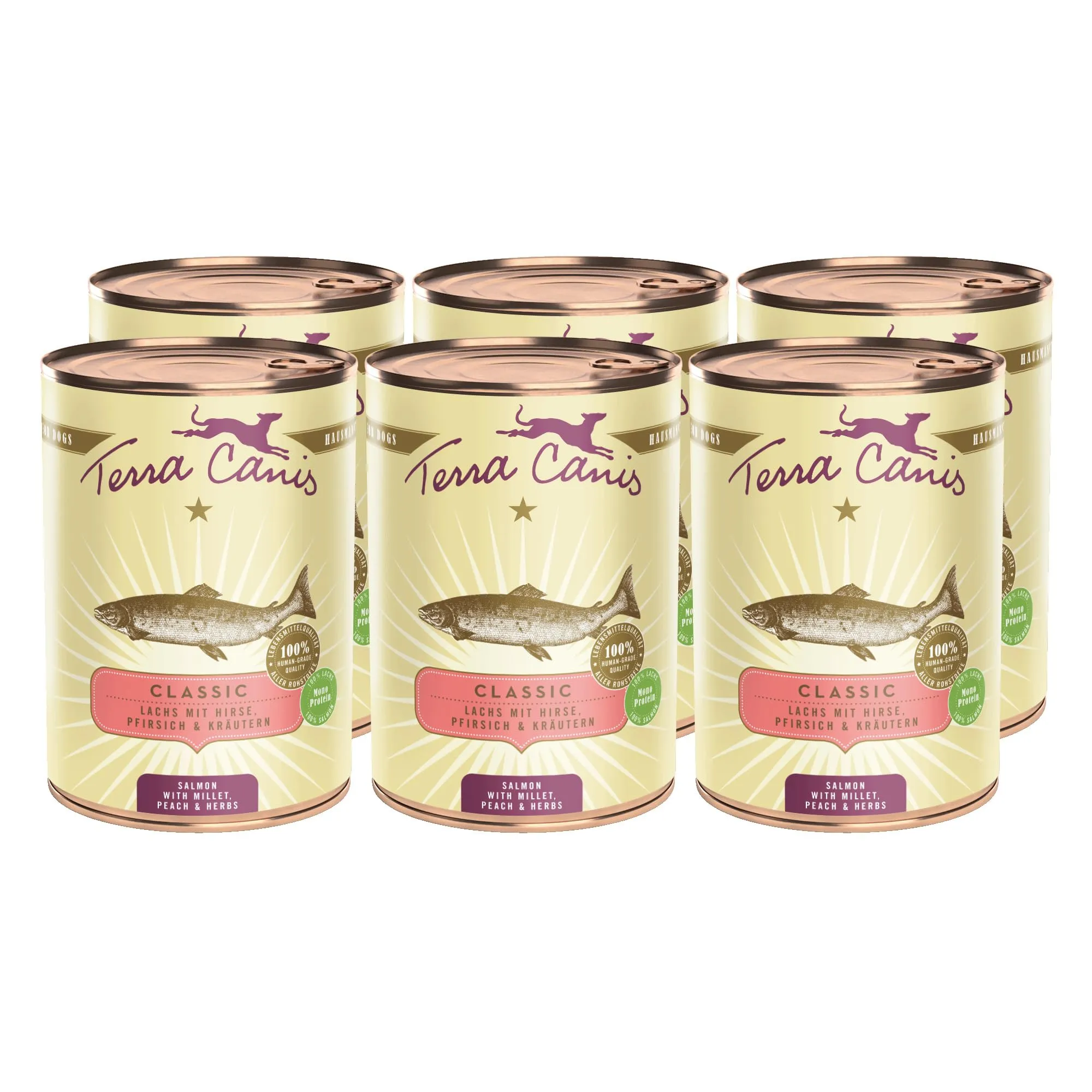 Terra Canis Classic Cibo Umido per Cani Salmone, Miglio & Pesca, 6x400g - immagine 1