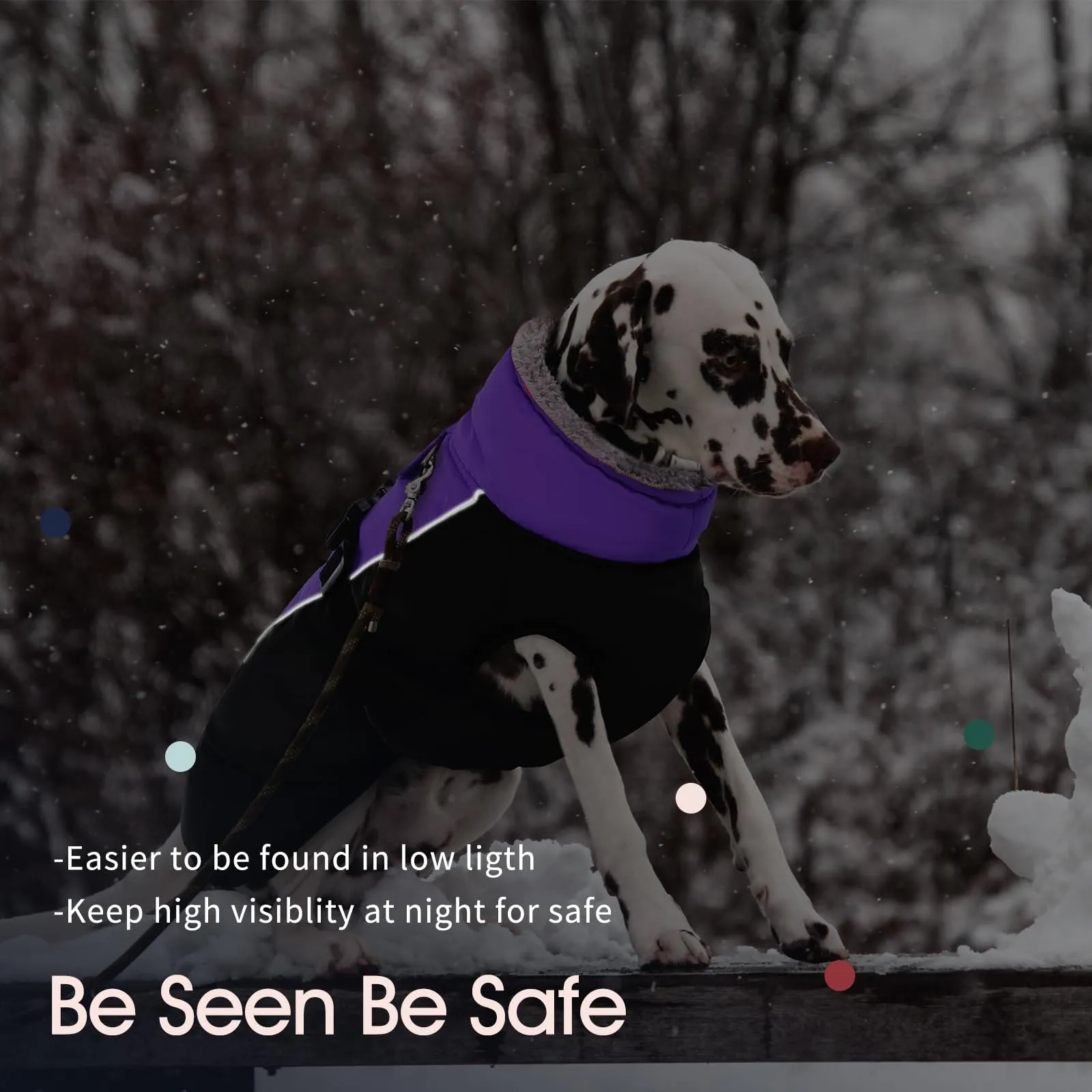 IECOii Cappotto Invernale per Cani Impermeabile e Antivento, Giacca Termica Riflettente con Foro per Guinzaglio, Viola, Taglia L - immagine 5