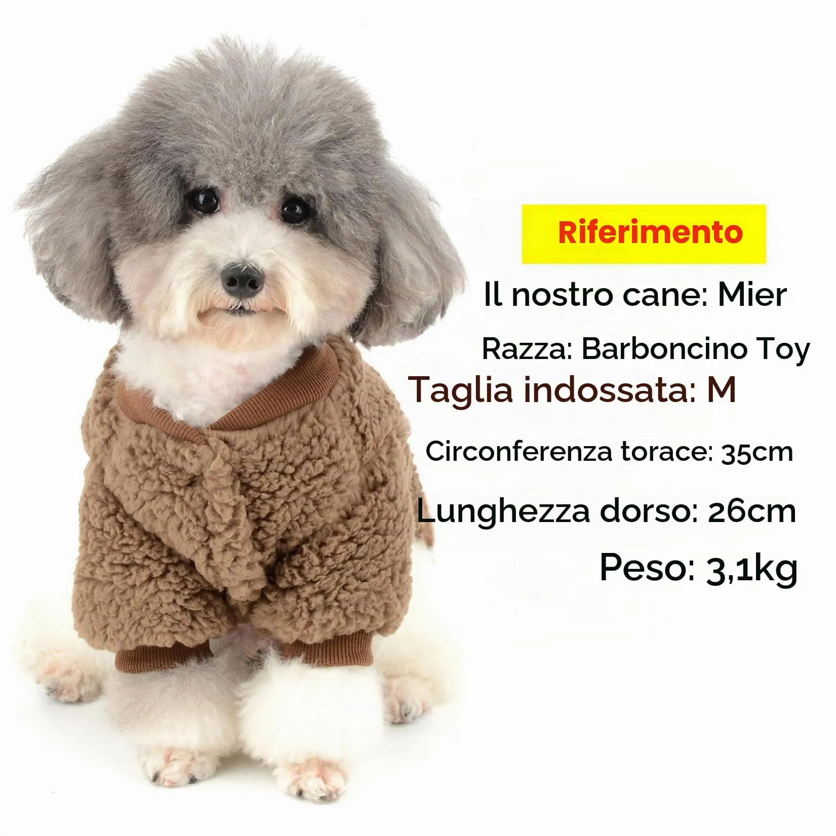 Zunea Cappotto Invernale in Pile per Cani e Gatti di Piccola Taglia, Marrone, S - immagine 3